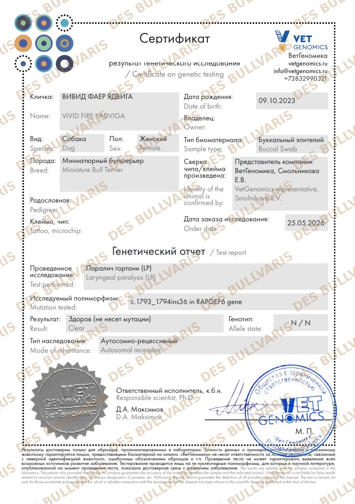 Сертификат генетического теста Паралич гортани (LP)